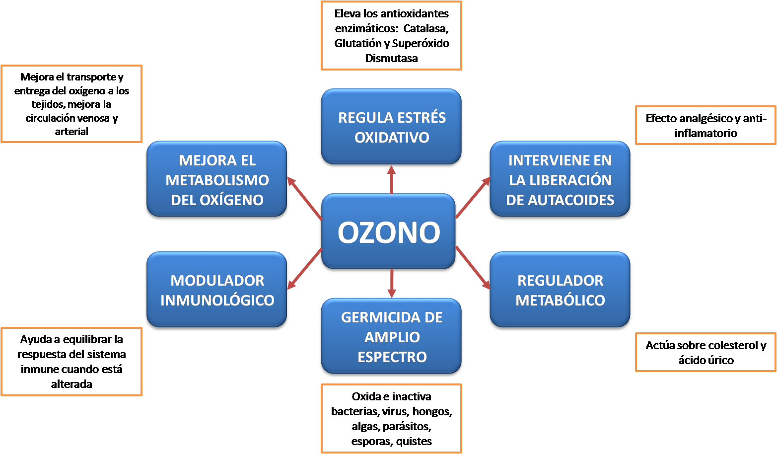 Ozonoterapia 1 Ozonoterapia Efectos Completo 2