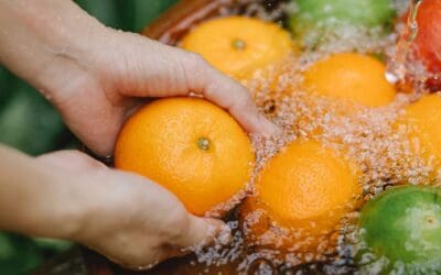 El Uso Del Ozono En La Industria Alimentaria