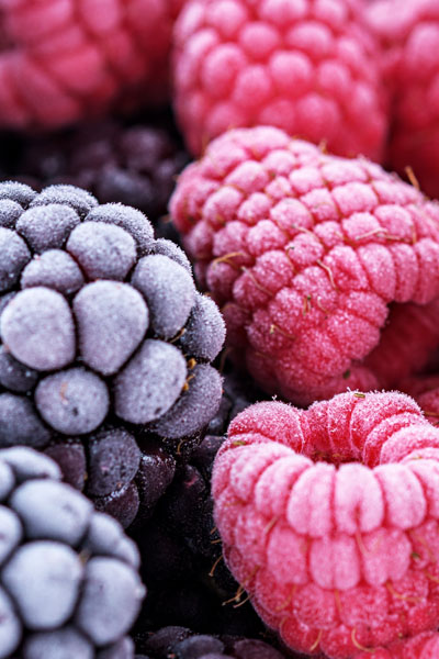 Berries congeladas en camara fria con ozono Berries Congeladas En Camara Fria Con Ozono