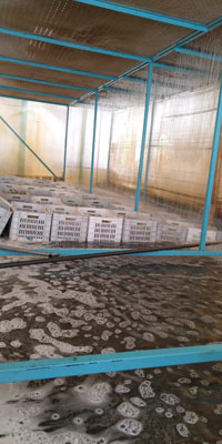 Imagen de tunel con agua para desinfección de vegetales con ozono Imagen De Tunel Con Agua Para Desinfección De Vegetales Con Ozono
