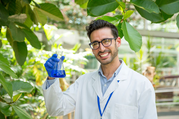 Cientifico y plantas arboles Estudios Cientificos De Ozono En Aguacate