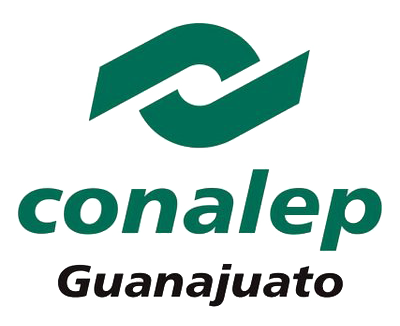 Conalep guanajuato copy Conalep Guanajuato Copy